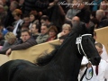 IMG_9722-Bente-412
