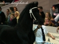 img_0151-bente412