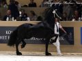 IMG_1268-Bikkel-470