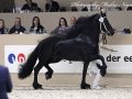 IMG_2381-Bikkel-470