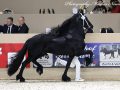 IMG_2390-Bikkel-470