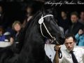 IMG_2399-Bikkel-470