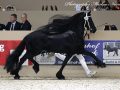 IMG_2406-Bikkel-470