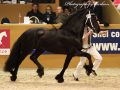 IMG_2897-Bikkel-470
