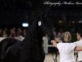 IMG_3851-Bikkel-470