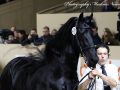 IMG_3891-Bikkel-470