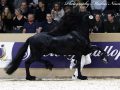 IMG_3908-Bikkel-470