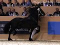 IMG_9715-Bikkel-470