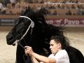 IMG_9732-Bikkel-470