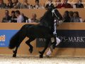 IMG_9740-Bikkel-470