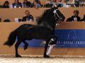 IMG_9748-Bikkel-470