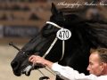 IMG_9779-Bikkel-470