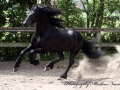 img_1157-bikkel470