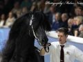 IMG_9717-Boet-516
