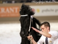 IMG_1571-Date477