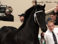IMG_1802-Djoerd473