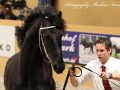 IMG_2706-Djoerd-473