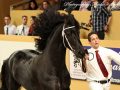 IMG_2731-Djoerd-473
