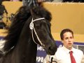 IMG_2732-Djoerd-473