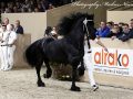 IMG_4154-Djoerd-473