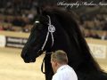 IMG_8058-Djoerd-473