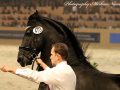 IMG_9893-Djoerd-473