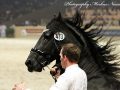 IMG_9933-Djoerd-473
