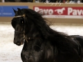 IMG_0459-Eibert-419