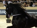 IMG_5773-Eibert-419