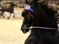 IMG_5921-Eibert-419