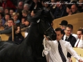 IMG_7235-Eibert-419