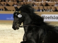 IMG_8330-Eibert-419