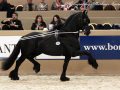 IMG_9487-Eibert-419