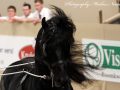 IMG_9500-Eibert-419