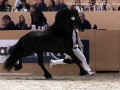 IMG_1063-Eise-489