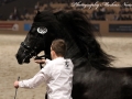 IMG_1086-Eise-489