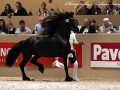 IMG_1582-Eise-489