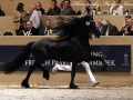 IMG_1616-Eise-489