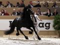 IMG_1626-Eise-489