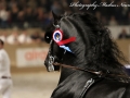 IMG_2203-Eise489