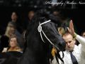 IMG_3041-Eise-489