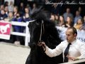 IMG_3043-Eise-489