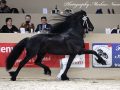 IMG_3064-Eise-489