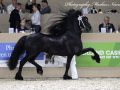 IMG_3069-Eise-489