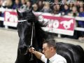 IMG_3093-Eise-489