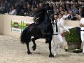 IMG_6316-Eise-489