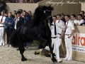 IMG_6322-Eise-489