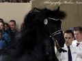 IMG_6322a-Eise-489