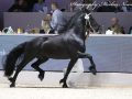 IMG_2796-Elger-536