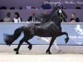 IMG_2808-Elger-536